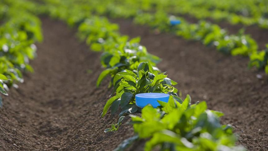 El invento que cambiará la agricultura aprovecha toda la humedad del