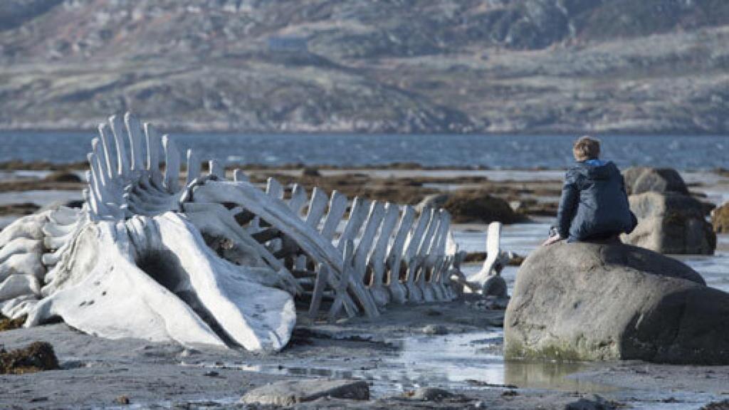 Image: Leviathan o la silenciosa tiranía