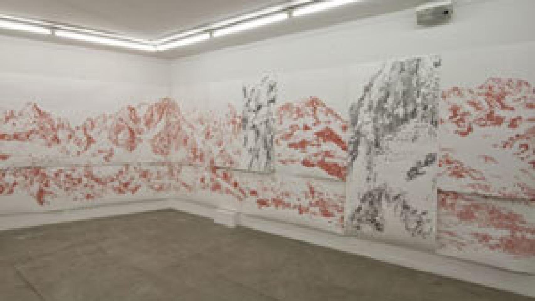 Image: Cristina Ataíde, despliegue de pliegues