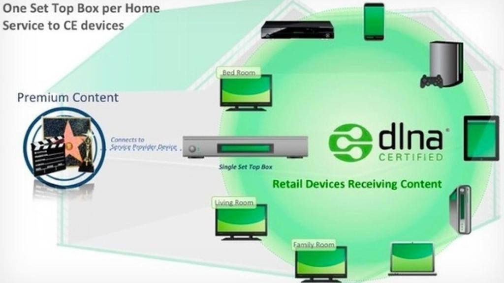 dlna-premium-video