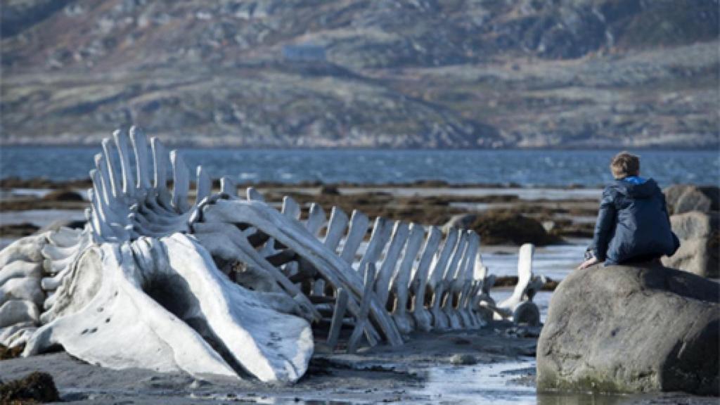 Image: Assayas y Zvyagintsev, la traca final