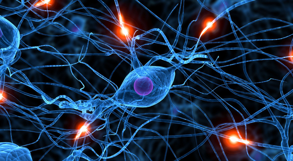 sinapsis-neurona