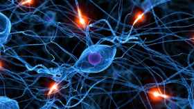 sinapsis-neurona