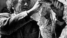 Image: Retrato de Giacometti