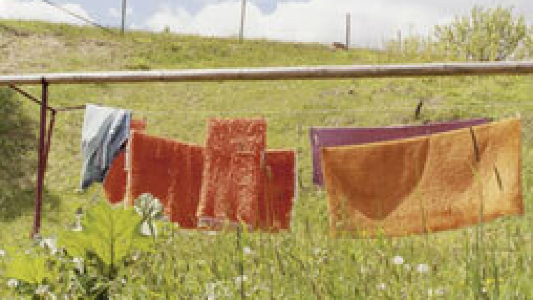 Image: Jitka Hanzlová, fotografía esencial en la Fundación Mapfre