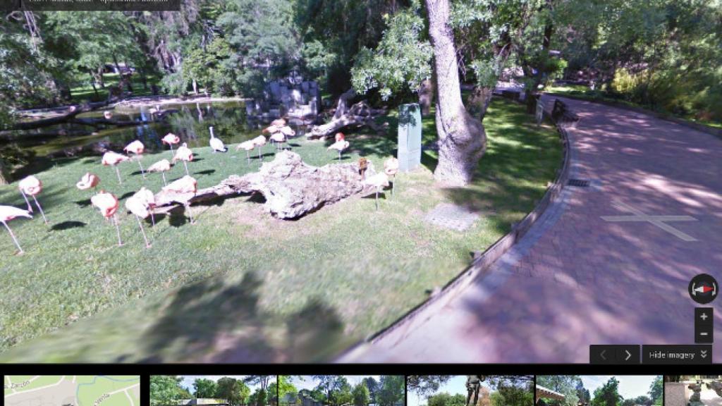 google-street-zoo