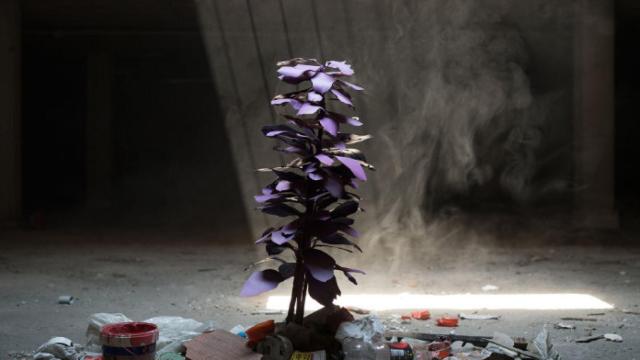 Imagen | Aragon Park 2.0., florecer entre escombros