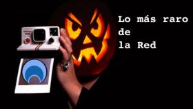 raro_logo_halloween