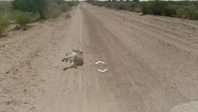 burro-street-view-original