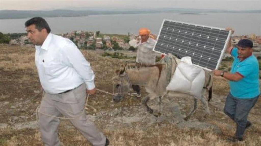 burro-turquia-internet-1