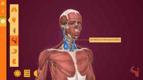 Anatomy: El Cuerpo Humano, aprende anatomía con esta completa aplicación