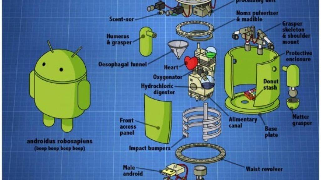 Anatomía de un android