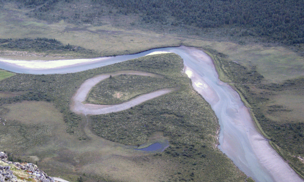 rio brazo muerto