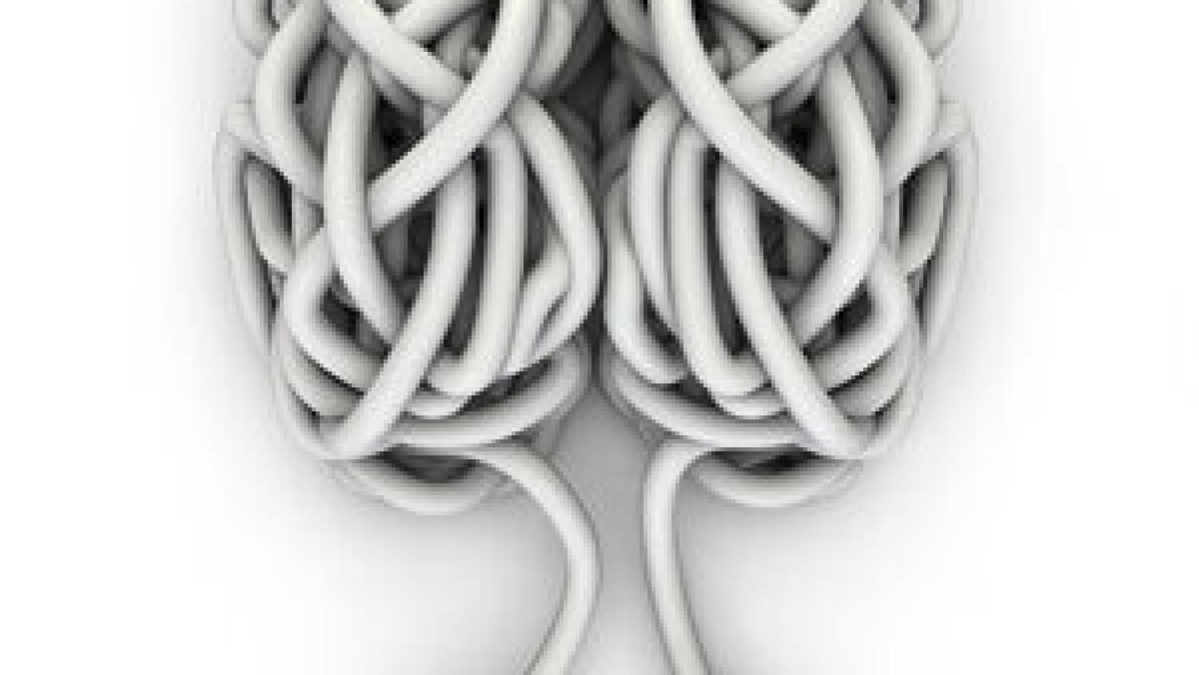 Image: Incógnito. Las vidas secretas del cerebro