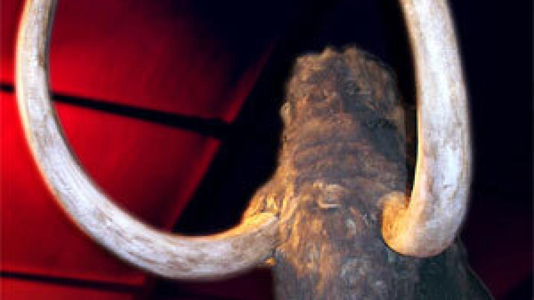 Image: La biotecnología se va a la prehistoria