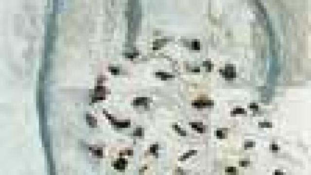 'Bodegón con granada', 2002