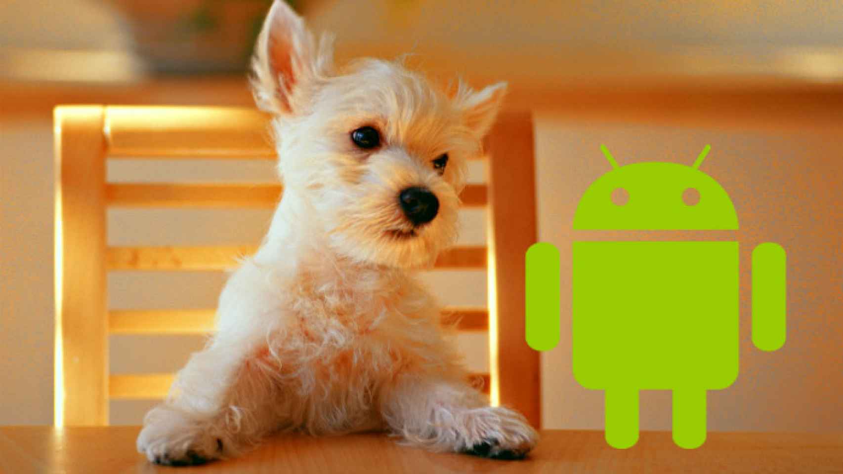 Las mejores aplicaciones Android para los amantes de los perros