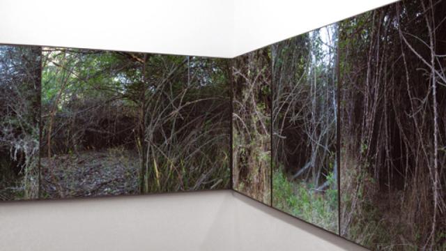 Image: Álvaro Perdices en terreno baldío