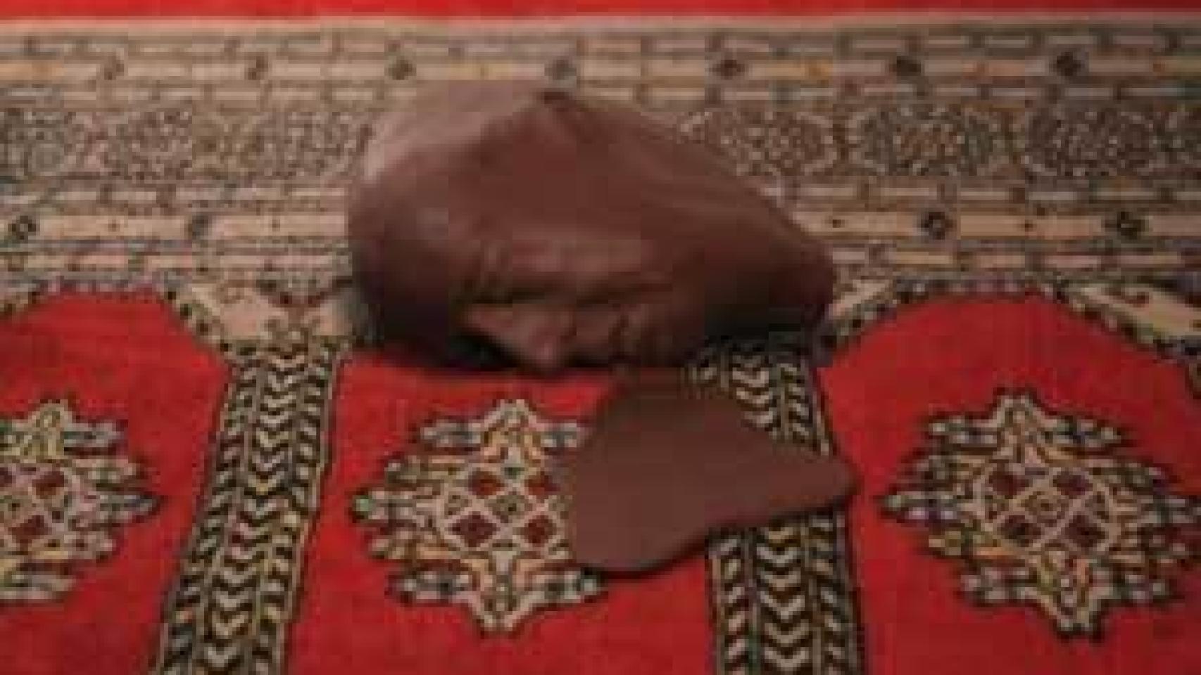 Image: En la gélida mediateca