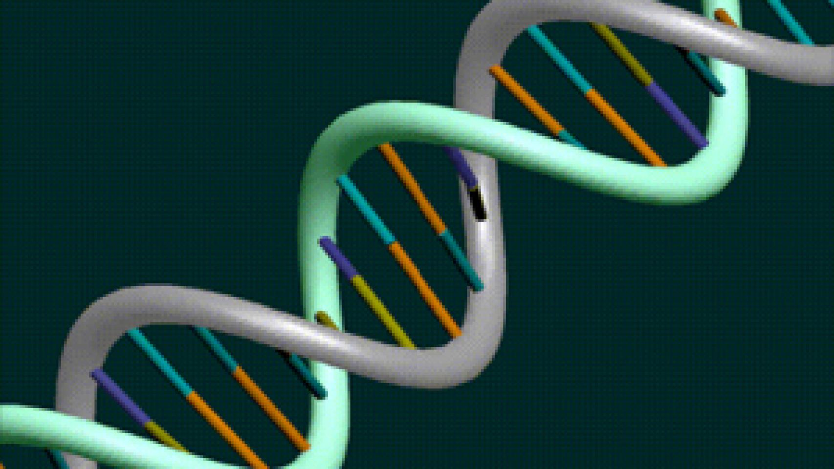 Image: Nuevas páginas para el libro de la vida