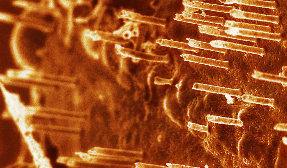 nanotubos oro