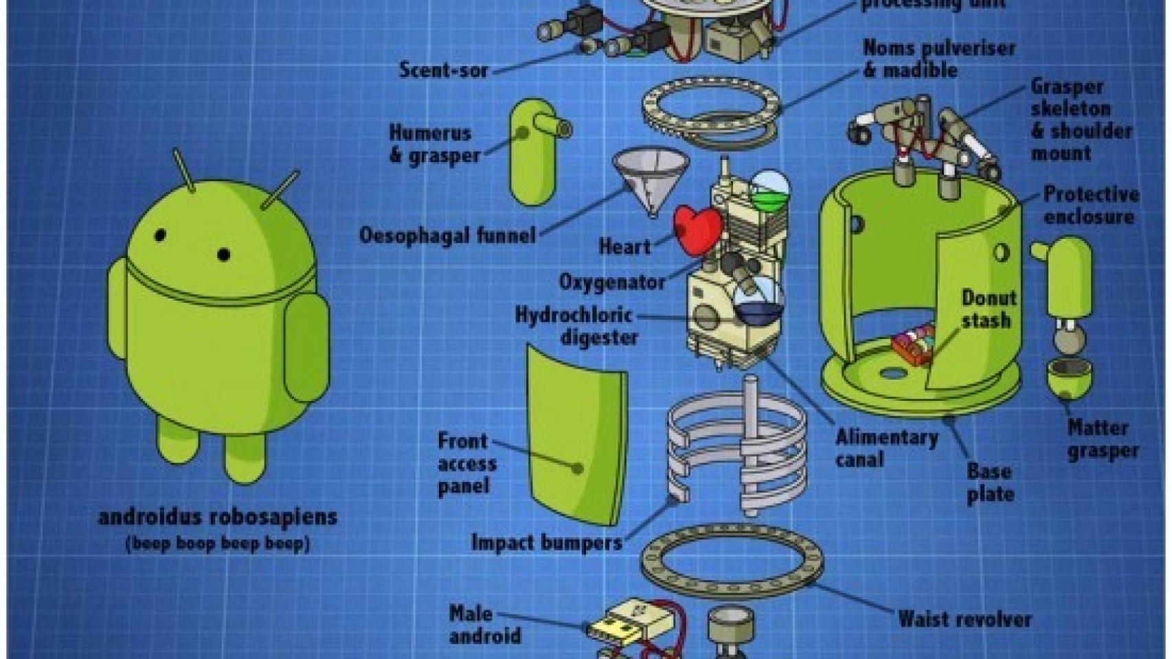 Anatomía de un Android