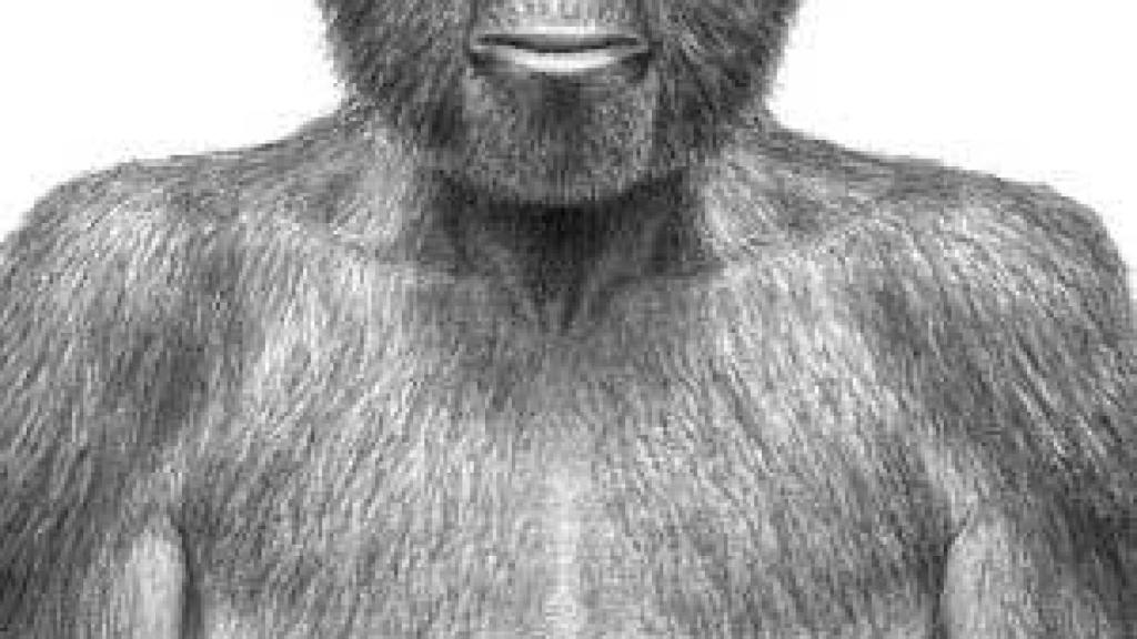 Image: Presentada 'Ardi', el ancestro homínido más antiguo conocido