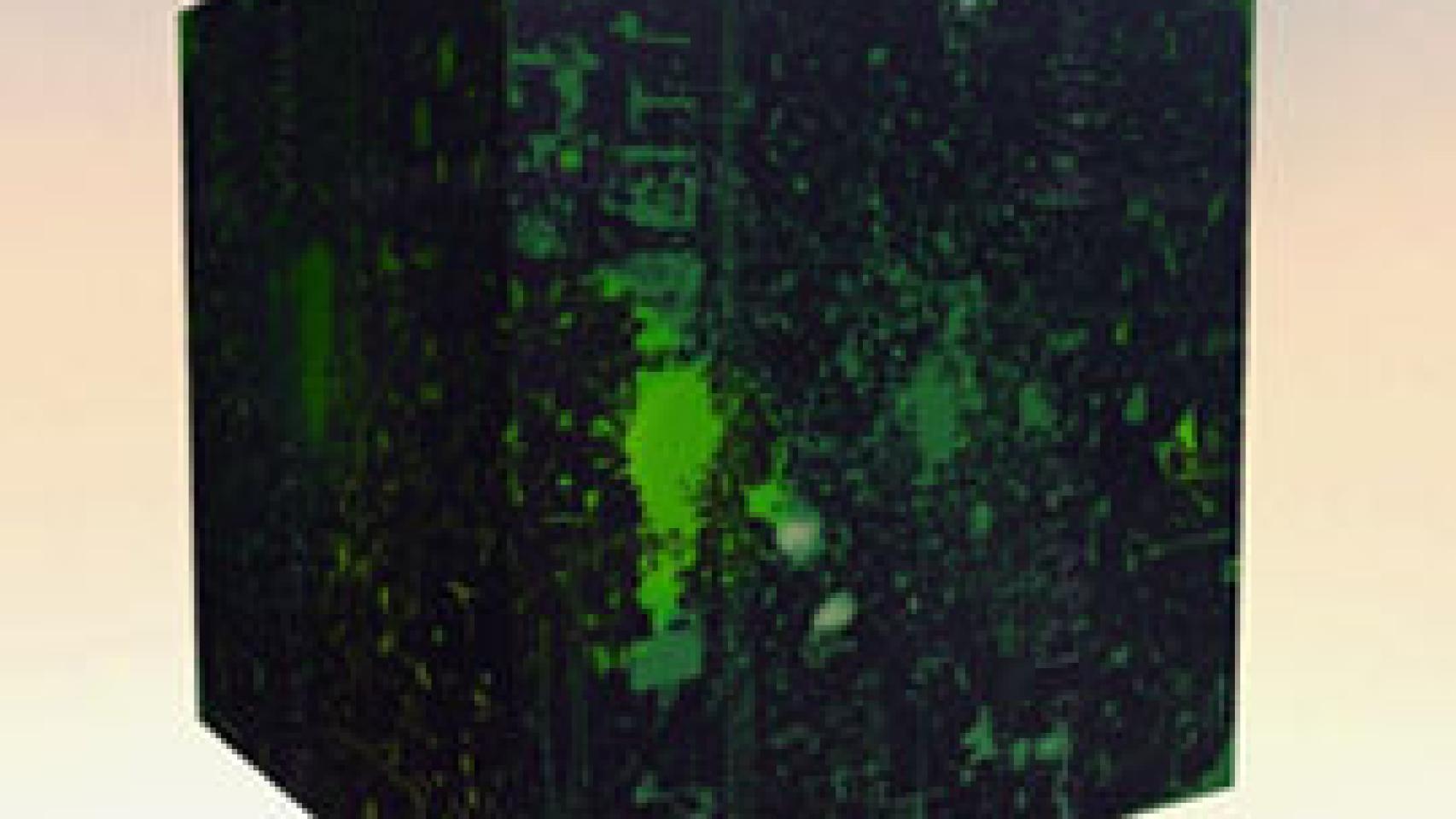 Image: Un misterio dentro de una caja negra