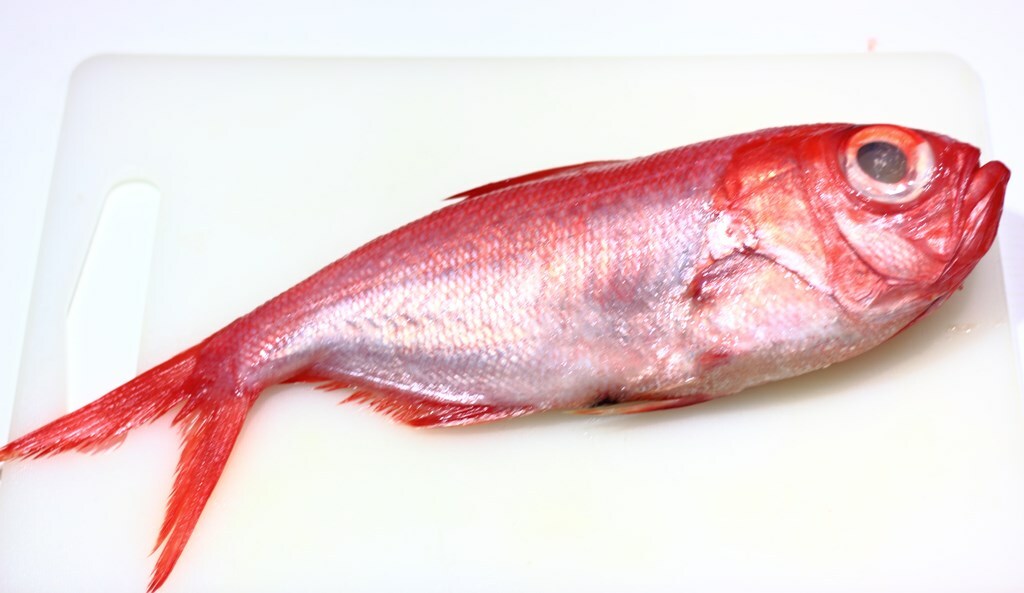 Consejos para cocinar pescado fresco en óptimas condiciones - Blog