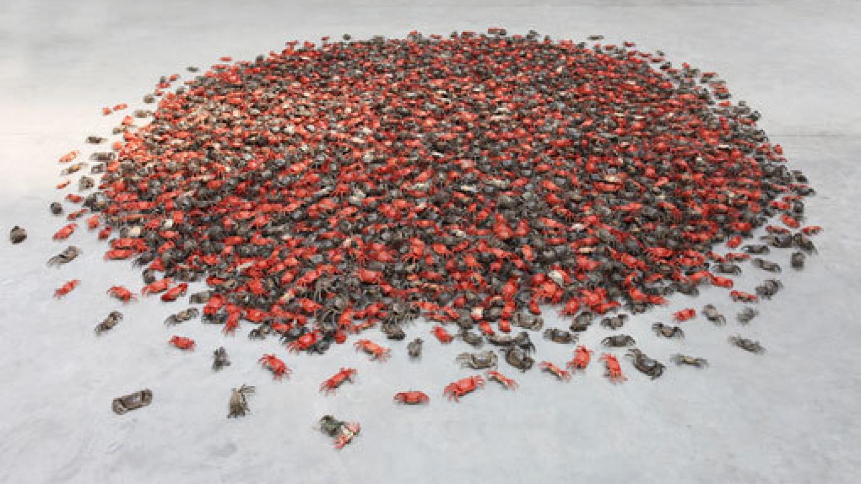 Image: Ai Weiwei: la queja y el inconformismo