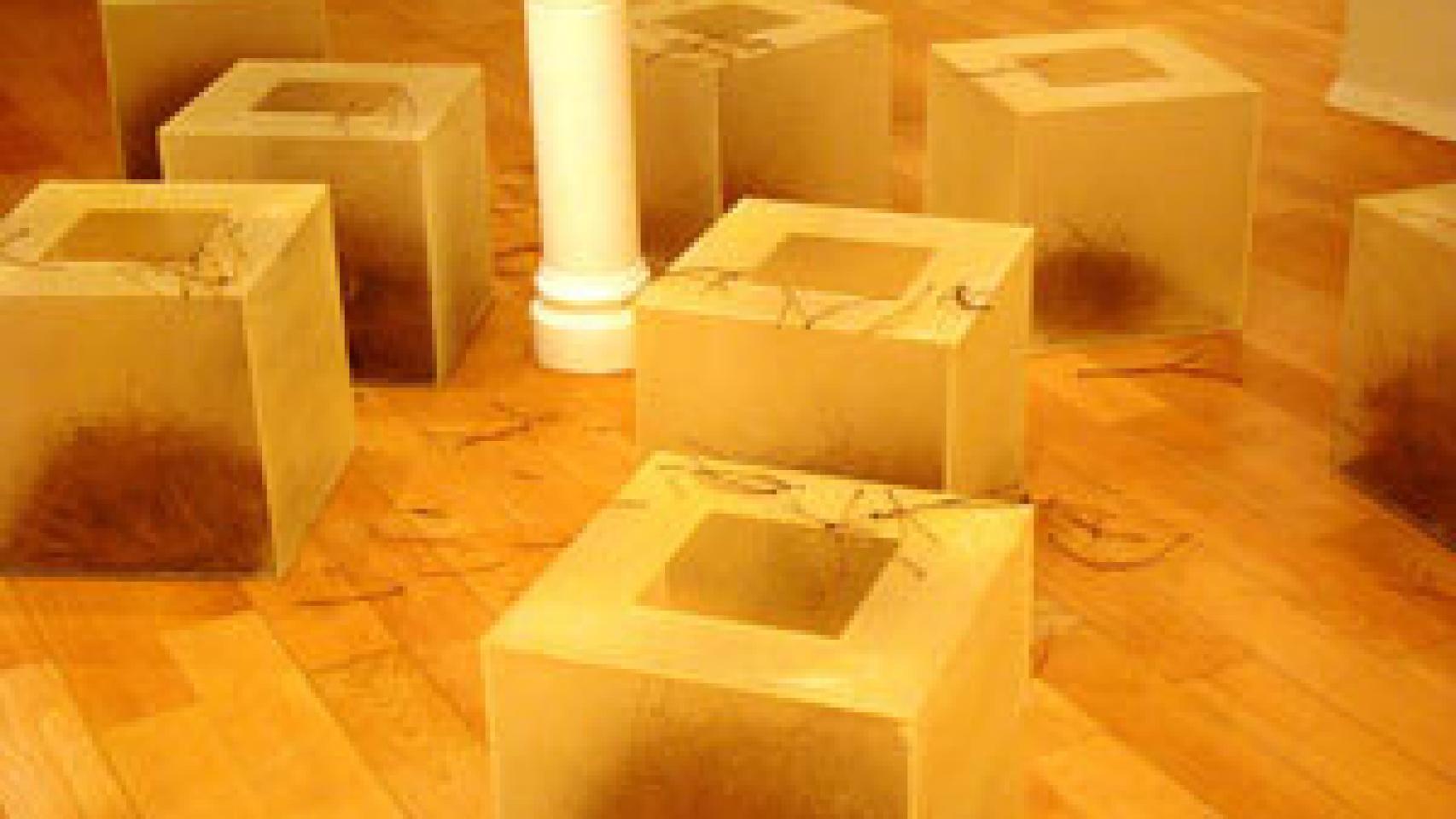 Image: Gloria Ceballos