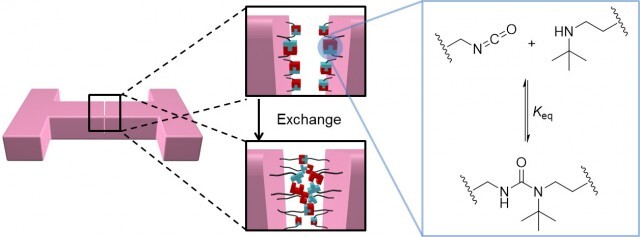 cheng-schematic-640x237