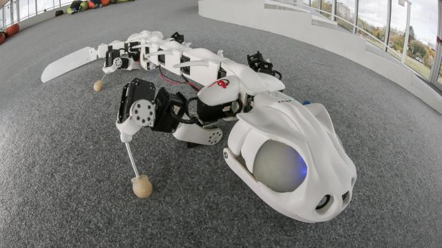 robot_salamandra_33