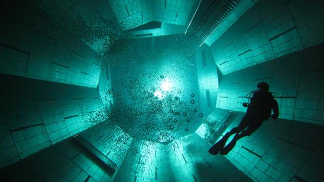 311015766_86e8f494f5