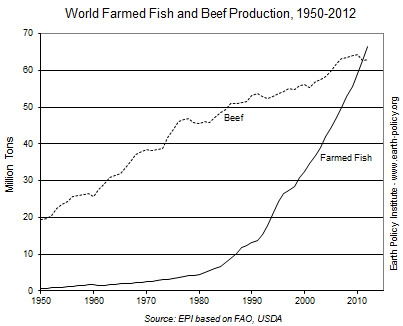 update114_fishbeef