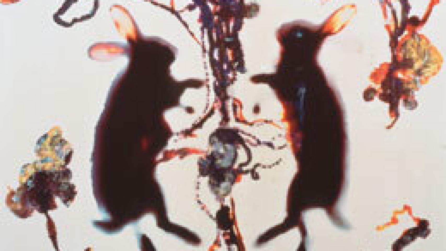 Image: Adam Fuss, el instante de luz