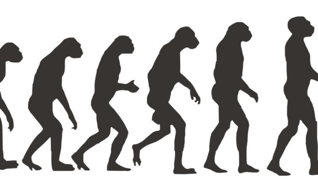 evolucion-humana3