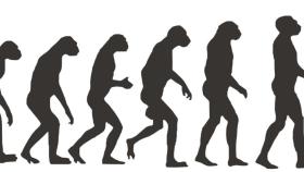 evolucion-humana3