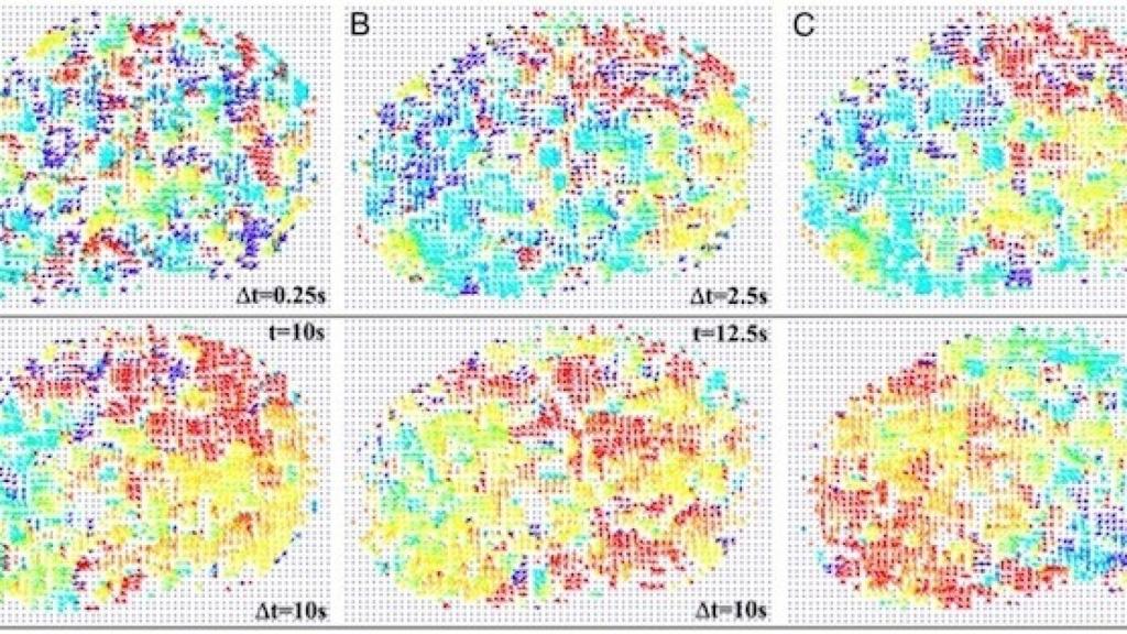 nucleus_dynamics1