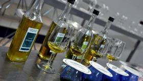 aceite-oliva-virgen-extra-02