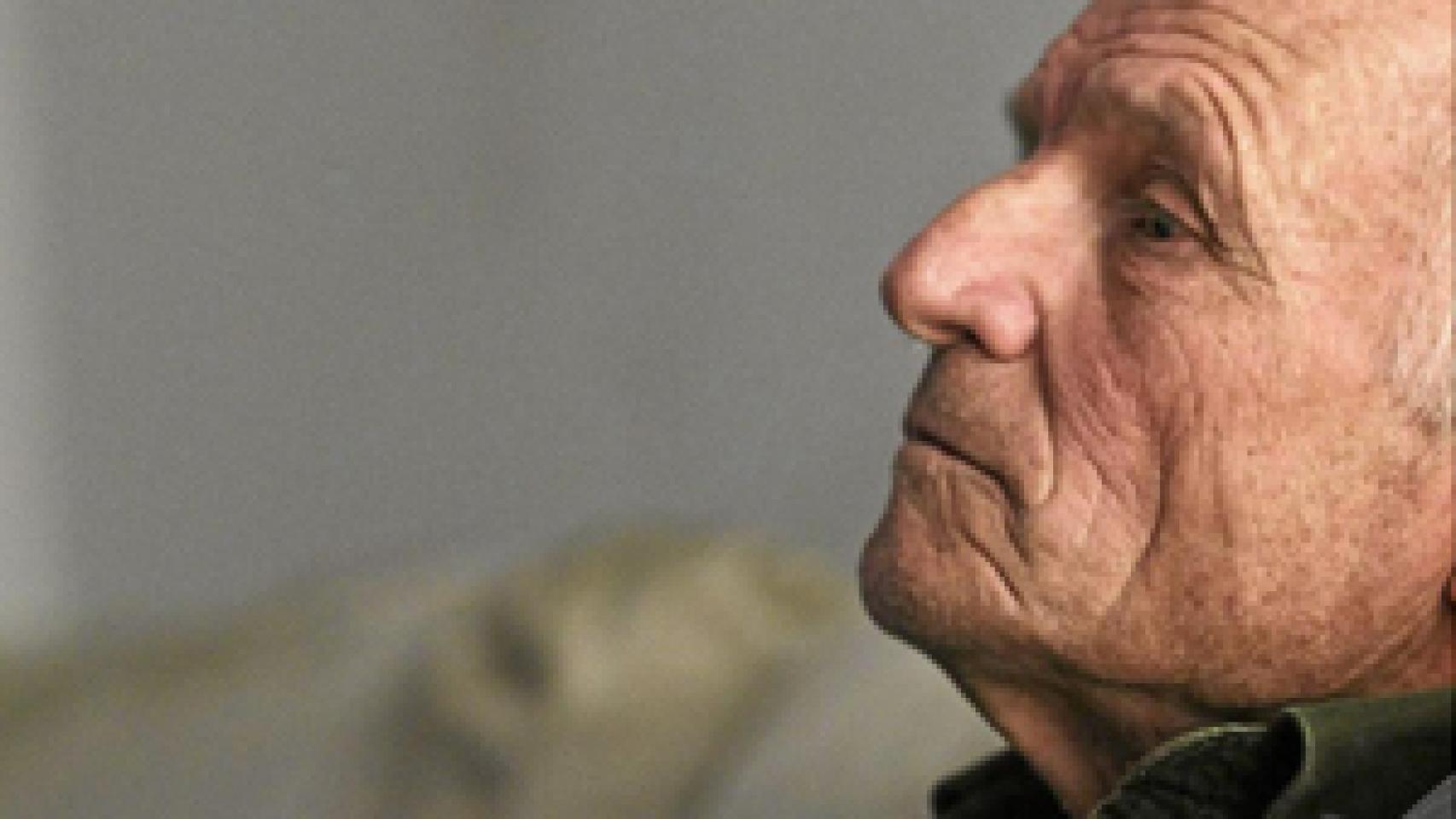 Image: La Comunidad de Madrid otorga la medalla Internacional de las Artes a Antonio López