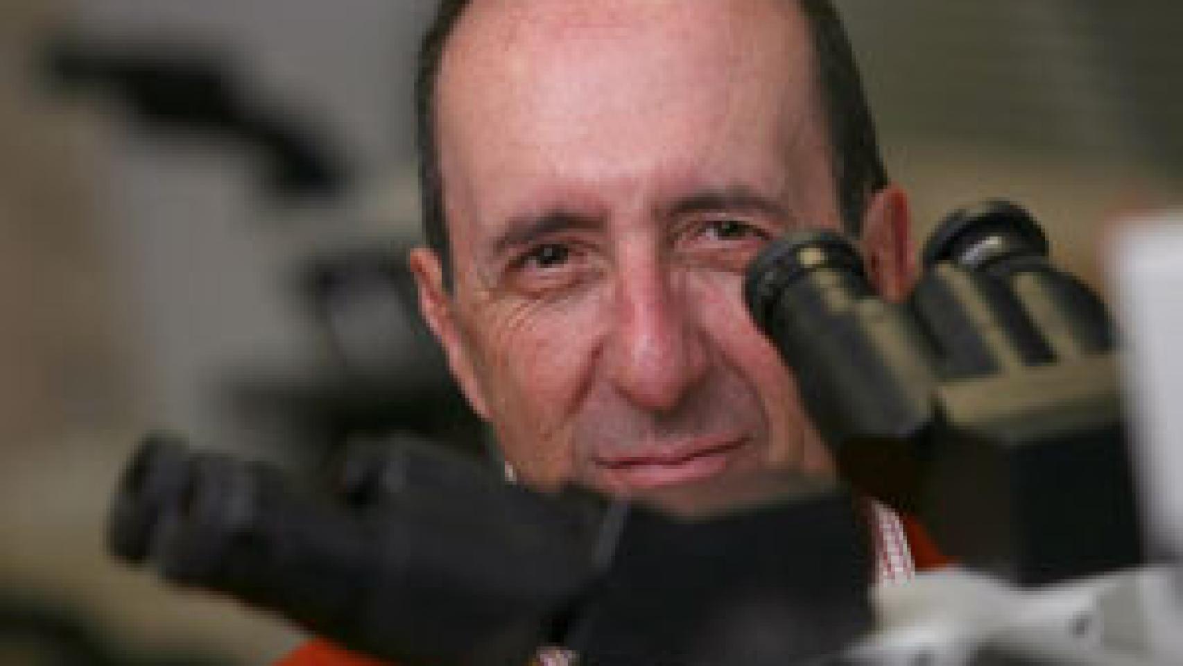 Image: Miguel Ángel Piris