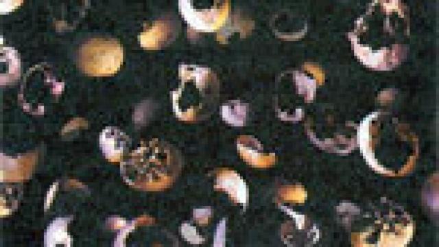 Image: Daniel Canogar