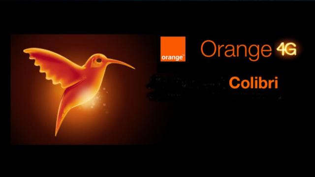 orange colibri