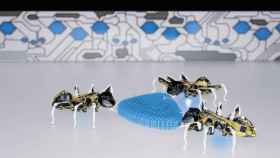 hormigas robot 1