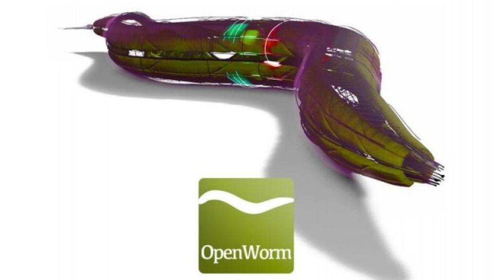 openworm