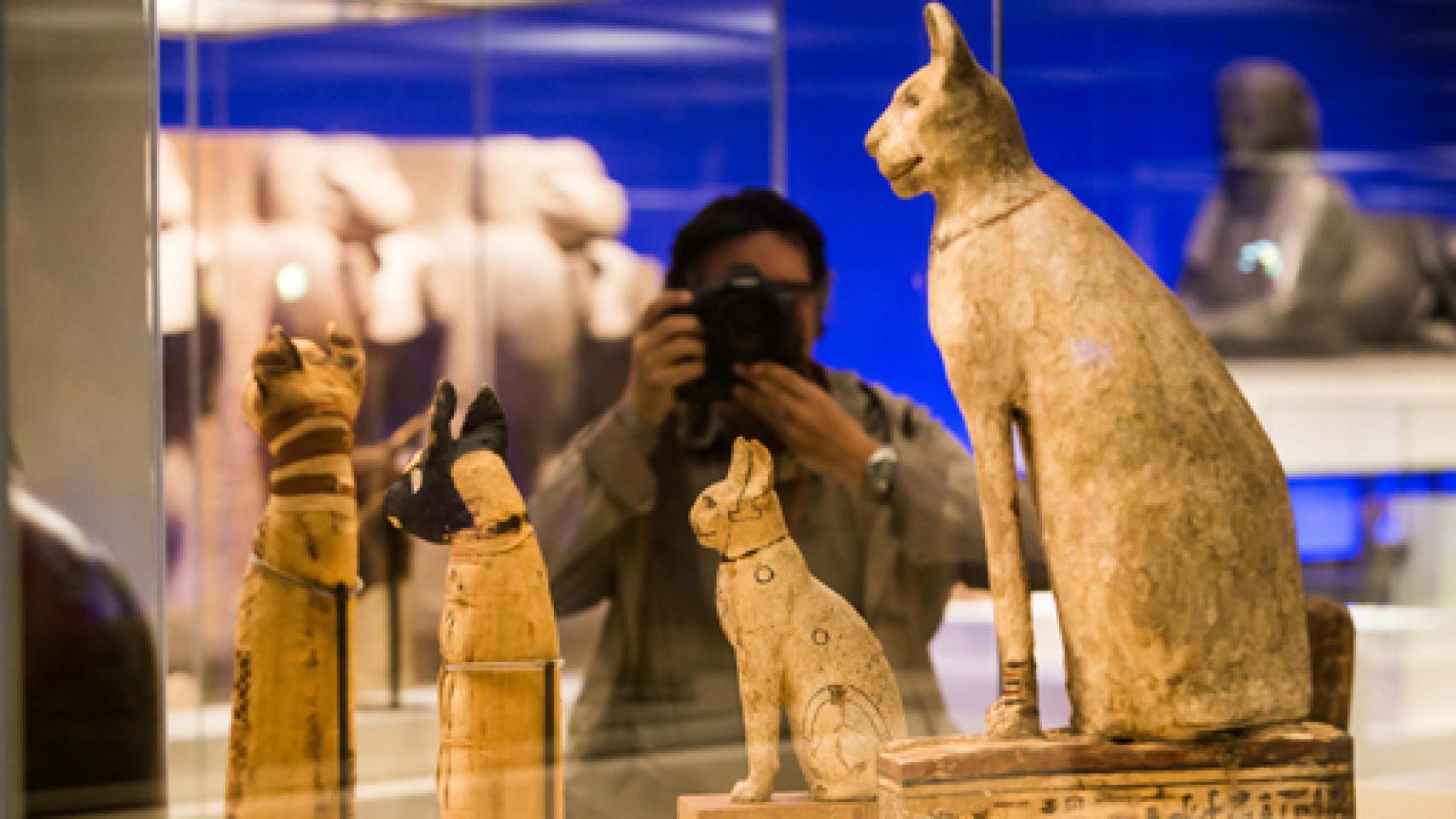 Image: Los faraones y sus mascotas