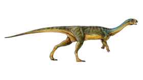chilesaurus dinosaurio 1