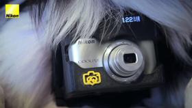 Nikon crea una cámara para perros: llega la era de la foDOGrafía