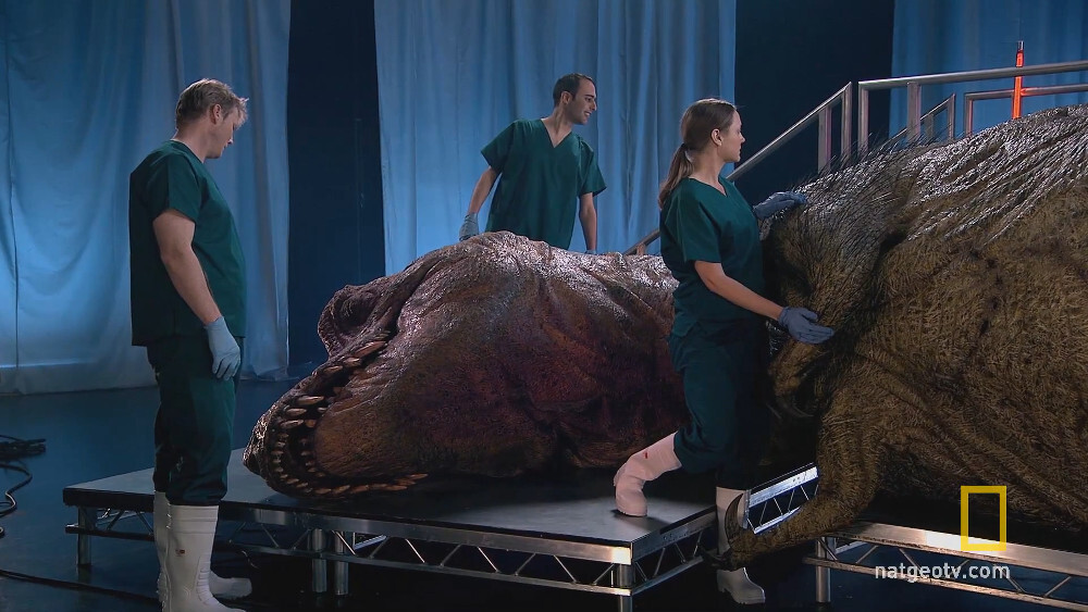 dinosaurio autopsia 2